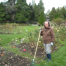 Rose Garden