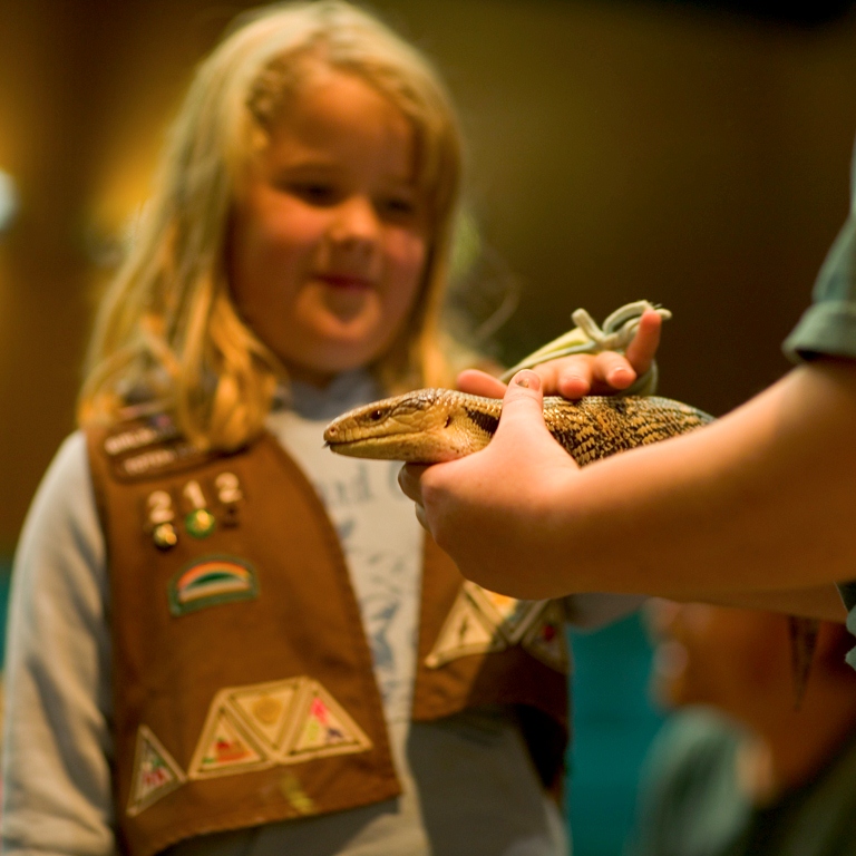 Register for a Scout Class Girl Scout and Skink