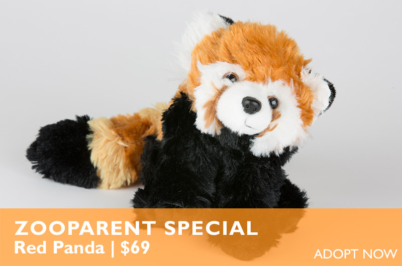 Become a ZooParent Become a ZooParent
