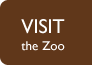 Visit the Zoo