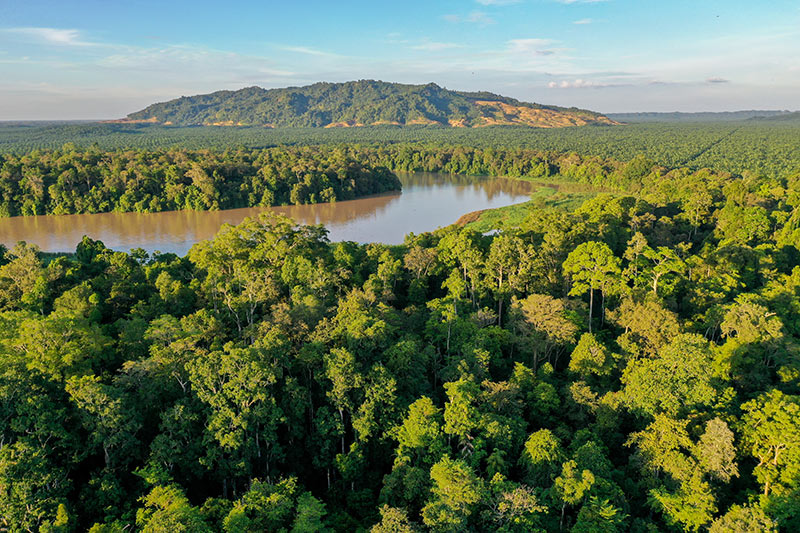 An aerial view of a river surrounded by trees that fade in the distance into a deforested landscape