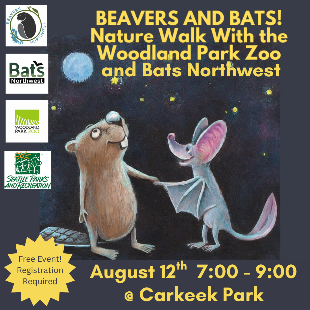 A beaver and a bat against a starry night sky