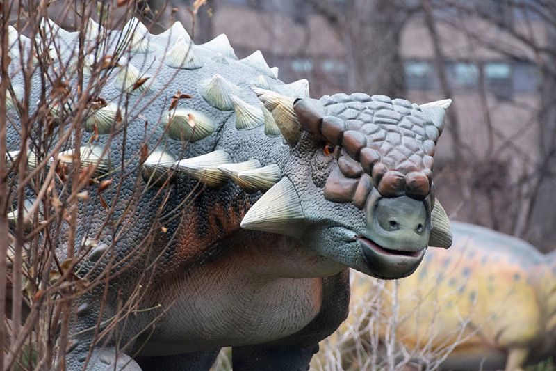 woodland park dinosaurs