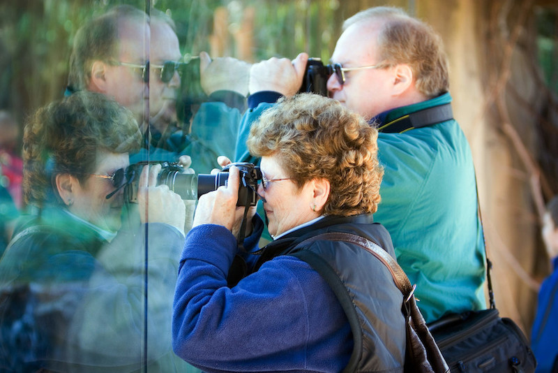 Adult Photographers at the Glass
