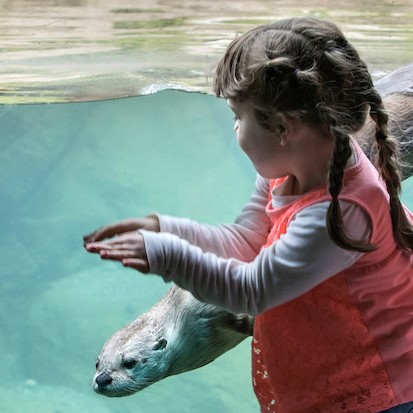 Child with Otter square
