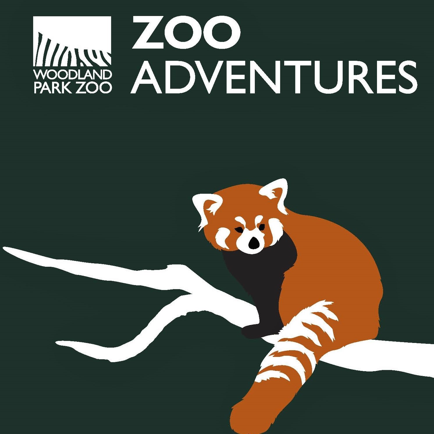 Overnight and Evening Adventures Woodland Park Zoo Seattle WA