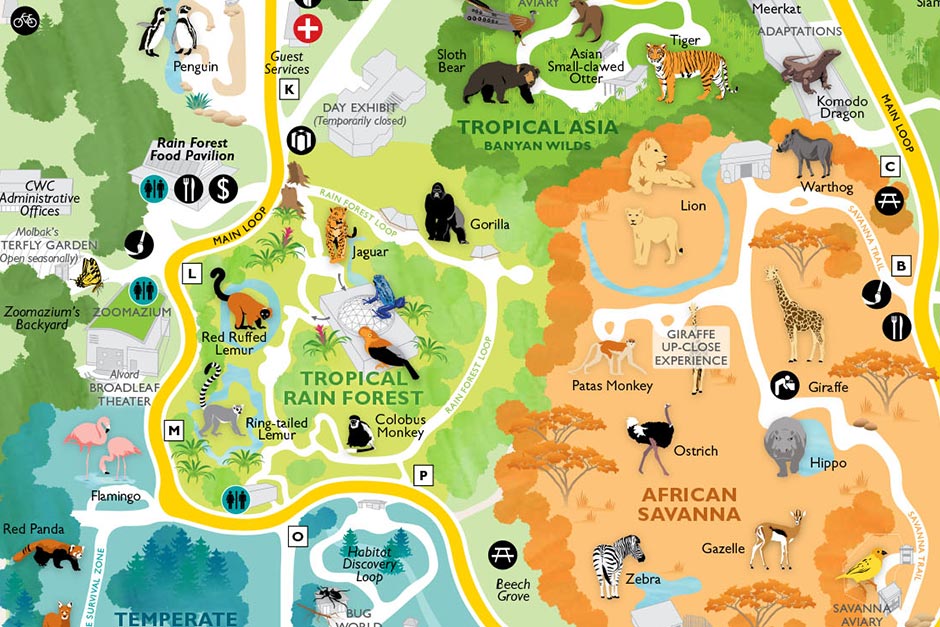 Woodland Park Zoo Concert Seating Chart