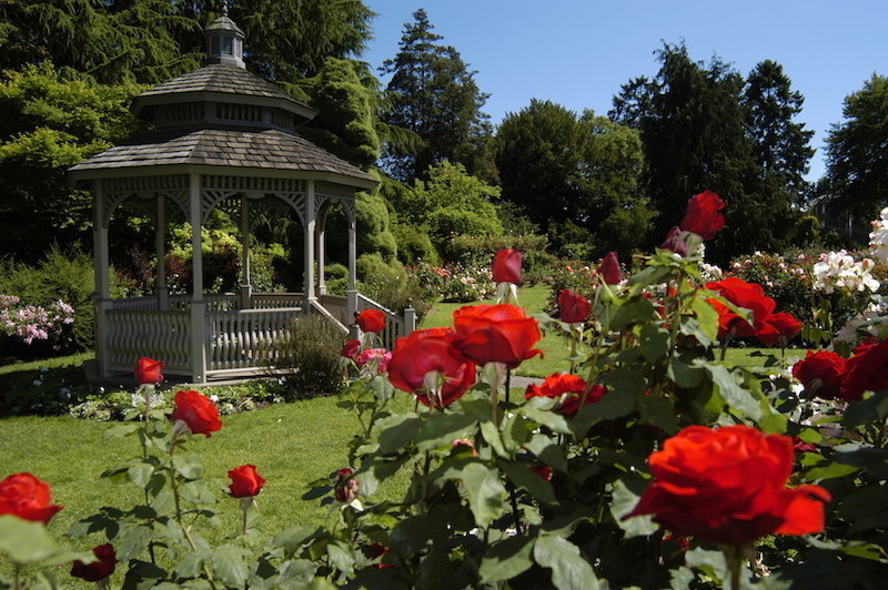 Rose Garden - Woodland Park Zoo Seattle WA