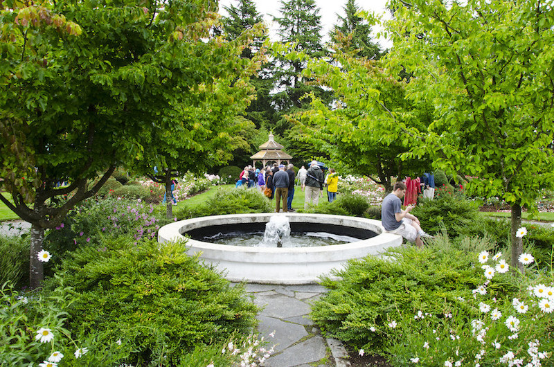 Rose Garden Woodland Park Zoo Seattle Wa