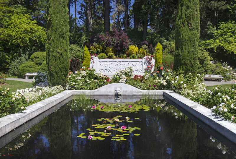 Rose Garden Woodland Park Zoo Seattle Wa