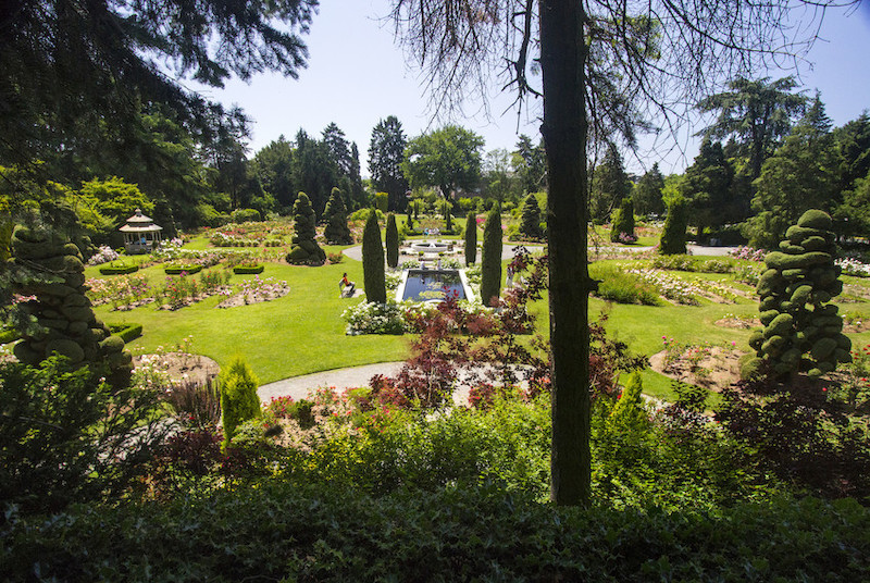 Rose Garden Woodland Park Zoo Seattle Wa